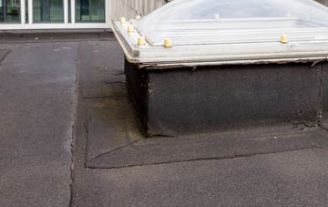 disadvantages of Leath flat roofs