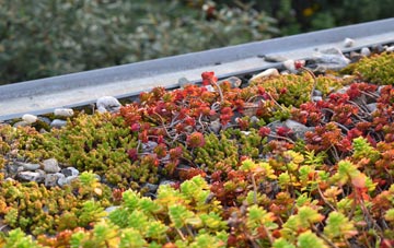 the cost of Leath green roof installation